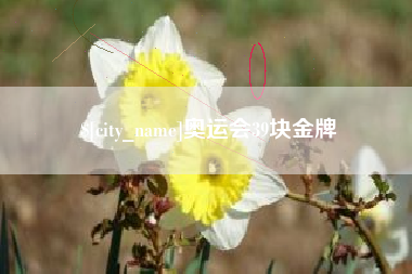 阿拉善盟奥运会39块金牌