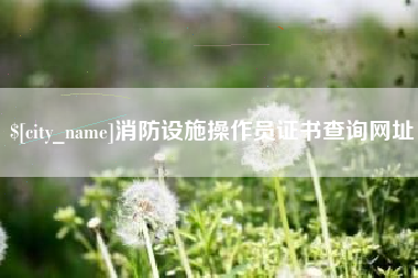 阿拉善盟消防设施操作员证书查询网址