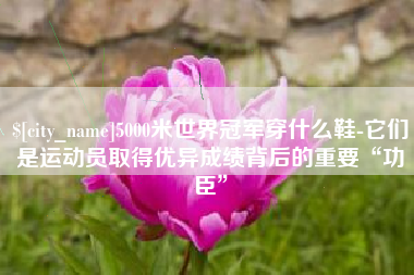 阿拉善盟5000米世界冠军穿什么鞋-它们是运动员取得优异成绩背后的重要“功臣”