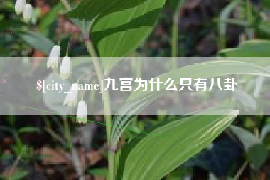 阿拉善盟九宫为什么只有八卦