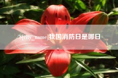阿拉善盟我国消防日是哪日