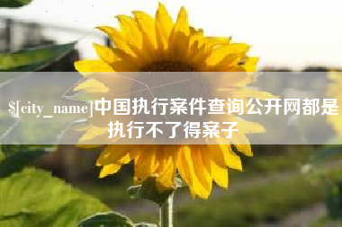 阿拉善盟中国执行案件查询公开网都是执行不了得案子