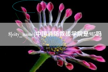 阿拉善盟中国消防救援学院是985吗