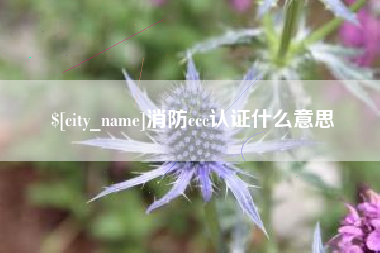 阿拉善盟消防ccc认证什么意思