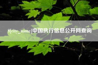 阿拉善盟中国执行信息公开网查询