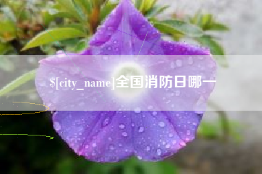 阿拉善盟全国消防日哪一