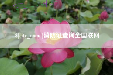 阿拉善盟消防证查询全国联网
