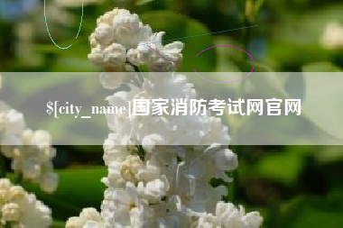 阿拉善盟国家消防考试网官网