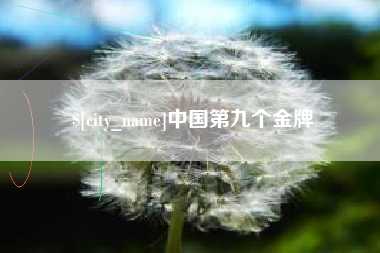 阿拉善盟中国第九个金牌