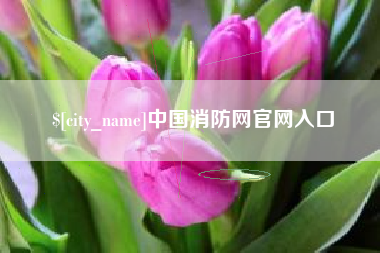 阿拉善盟中国消防网官网入口
