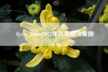 阿拉善盟2022年九宫格飞星图