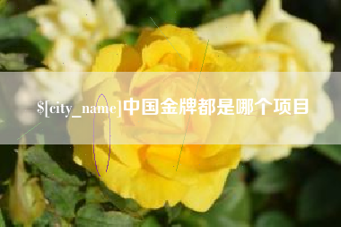 阿拉善盟中国金牌都是哪个项目