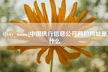 阿拉善盟中国执行信息公开网的网址是什么