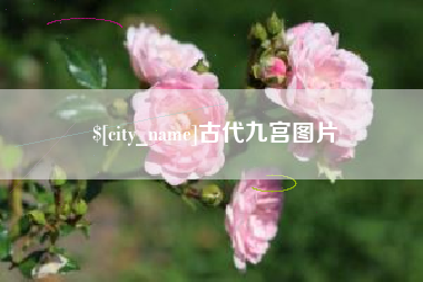 阿拉善盟古代九宫图片