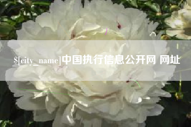 阿拉善盟中国执行信息公开网 网址