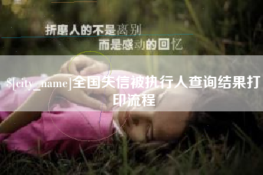 阿拉善盟全国失信被执行人查询结果打印流程