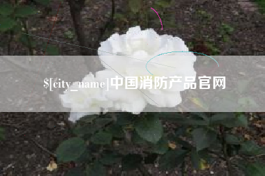 阿拉善盟中国消防产品官网