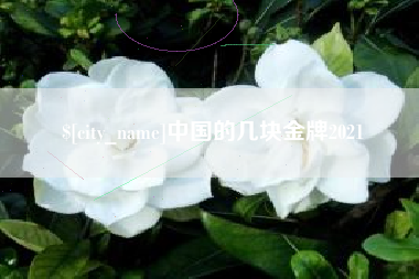 阿拉善盟中国的几块金牌2021