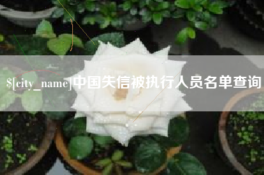 阿拉善盟中国失信被执行人员名单查询