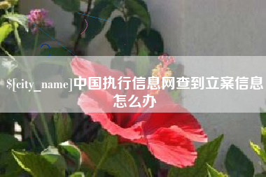 阿拉善盟中国执行信息网查到立案信息怎么办