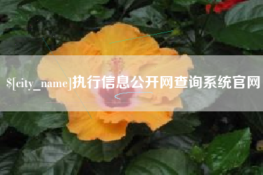 阿拉善盟执行信息公开网查询系统官网