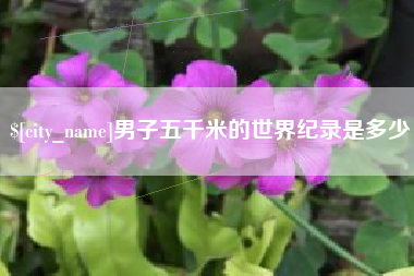 阿拉善盟男子五千米的世界纪录是多少