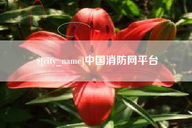阿拉善盟中国消防网平台