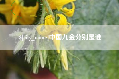 阿拉善盟中国九金分别是谁