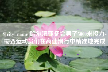 阿拉善盟哈尔滨亚冬会男子5000米接力-需要运动员们在高速滑行中精准地完成