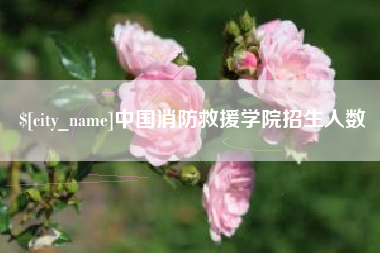 阿拉善盟中国消防救援学院招生人数