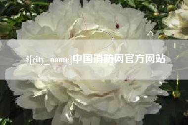 阿拉善盟中国消防网官方网站