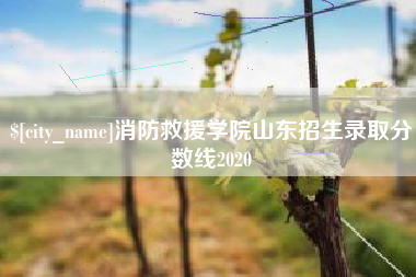 阿拉善盟消防救援学院山东招生录取分数线2020