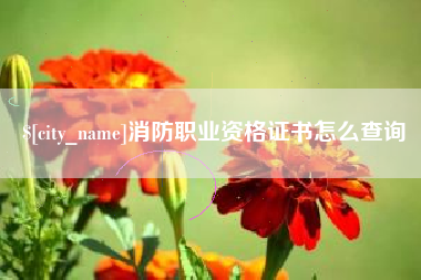阿拉善盟消防职业资格证书怎么查询
