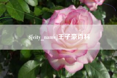 阿拉善盟王子豪百科