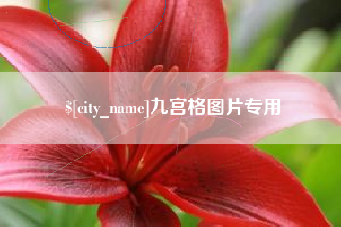 阿拉善盟九宫格图片专用