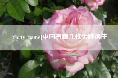 阿拉善盟中国有哪几枚金牌得主