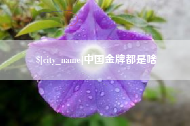 阿拉善盟中国金牌都是啥