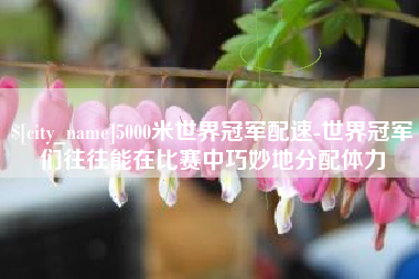 阿拉善盟5000米世界冠军配速-世界冠军们往往能在比赛中巧妙地分配体力