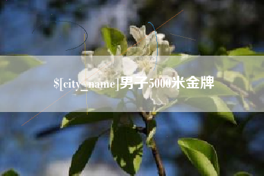 阿拉善盟男子5000米金牌