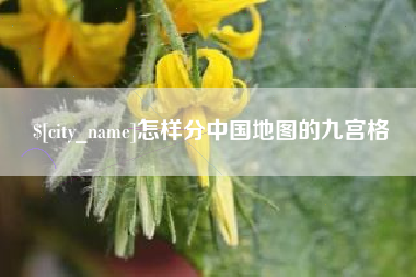阿拉善盟怎样分中国地图的九宫格