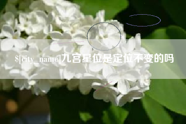 阿拉善盟九宫星位是定位不变的吗