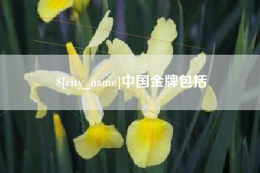 阿拉善盟中国金牌包括