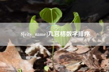 阿拉善盟九宫格数字排序