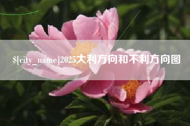 阿拉善盟2025大利方向和不利方向图