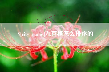 阿拉善盟九宫格怎么排序的
