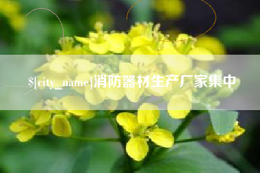 阿拉善盟消防器材生产厂家集中
