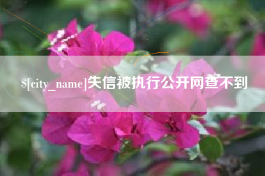 阿拉善盟失信被执行公开网查不到