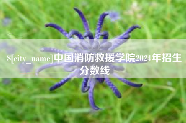 阿拉善盟中国消防救援学院2024年招生分数线
