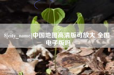 阿拉善盟中国地图高清版可放大 全国 电子版吗