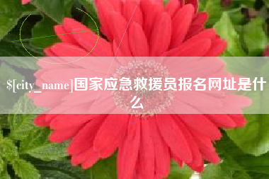 阿拉善盟国家应急救援员报名网址是什么